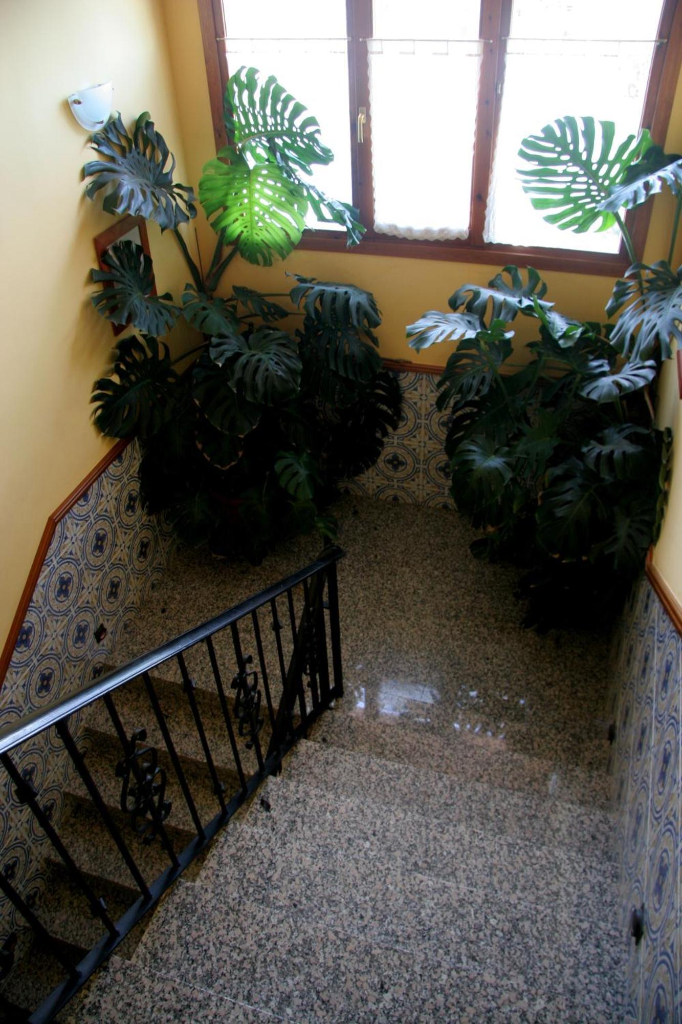 Hostal Casa Barranco Castejón del Puente Eksteriør billede