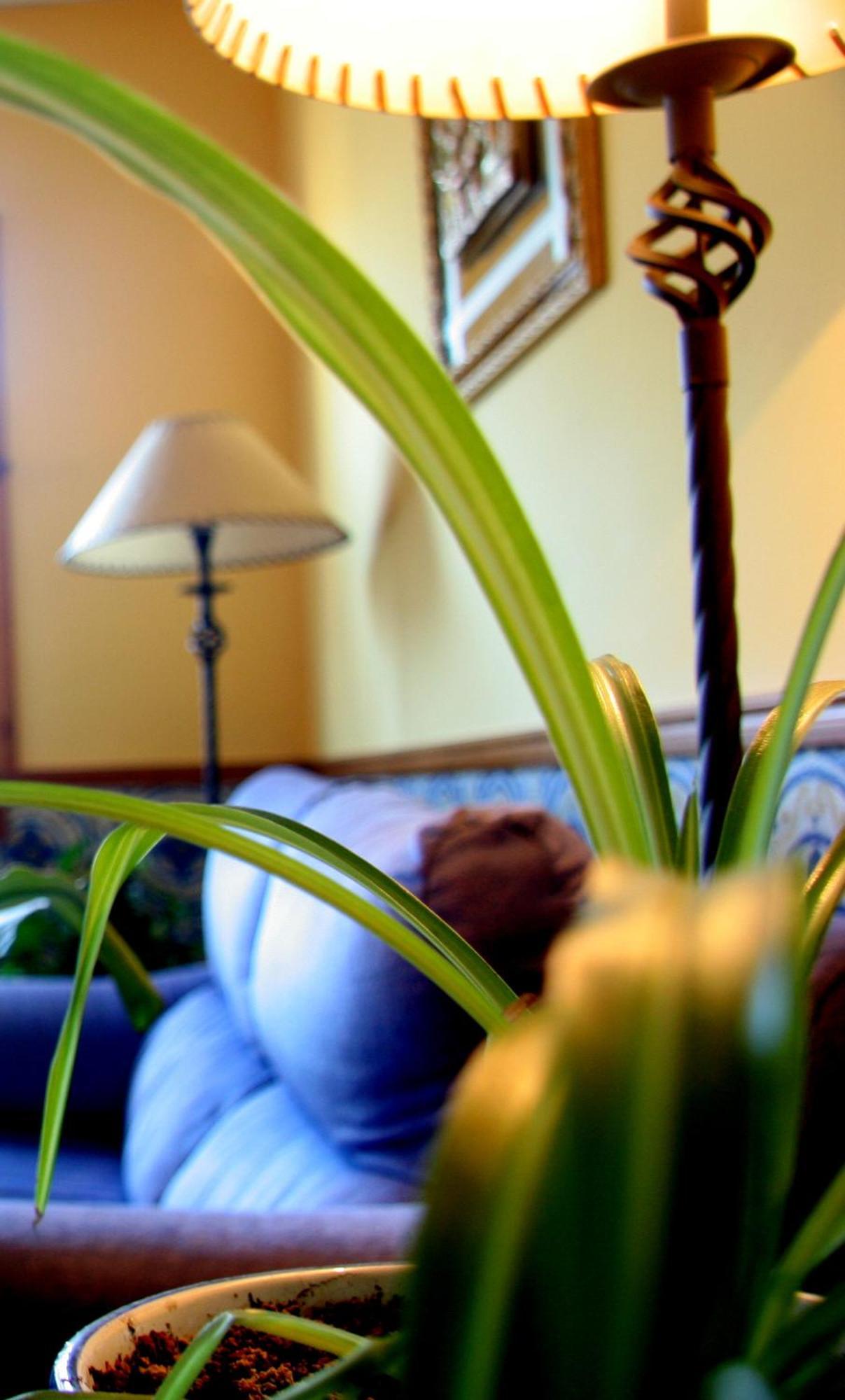 Hostal Casa Barranco Castejón del Puente Eksteriør billede
